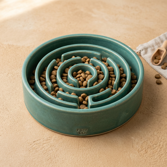 Slow Feeder Bowl